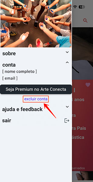 Clique no link excluir conta
